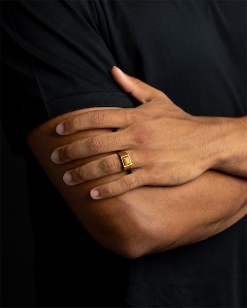 Siegelring aus 18 Karat vergoldetem Titan mit Tigerauge-Stein - Credo Gold Tiger